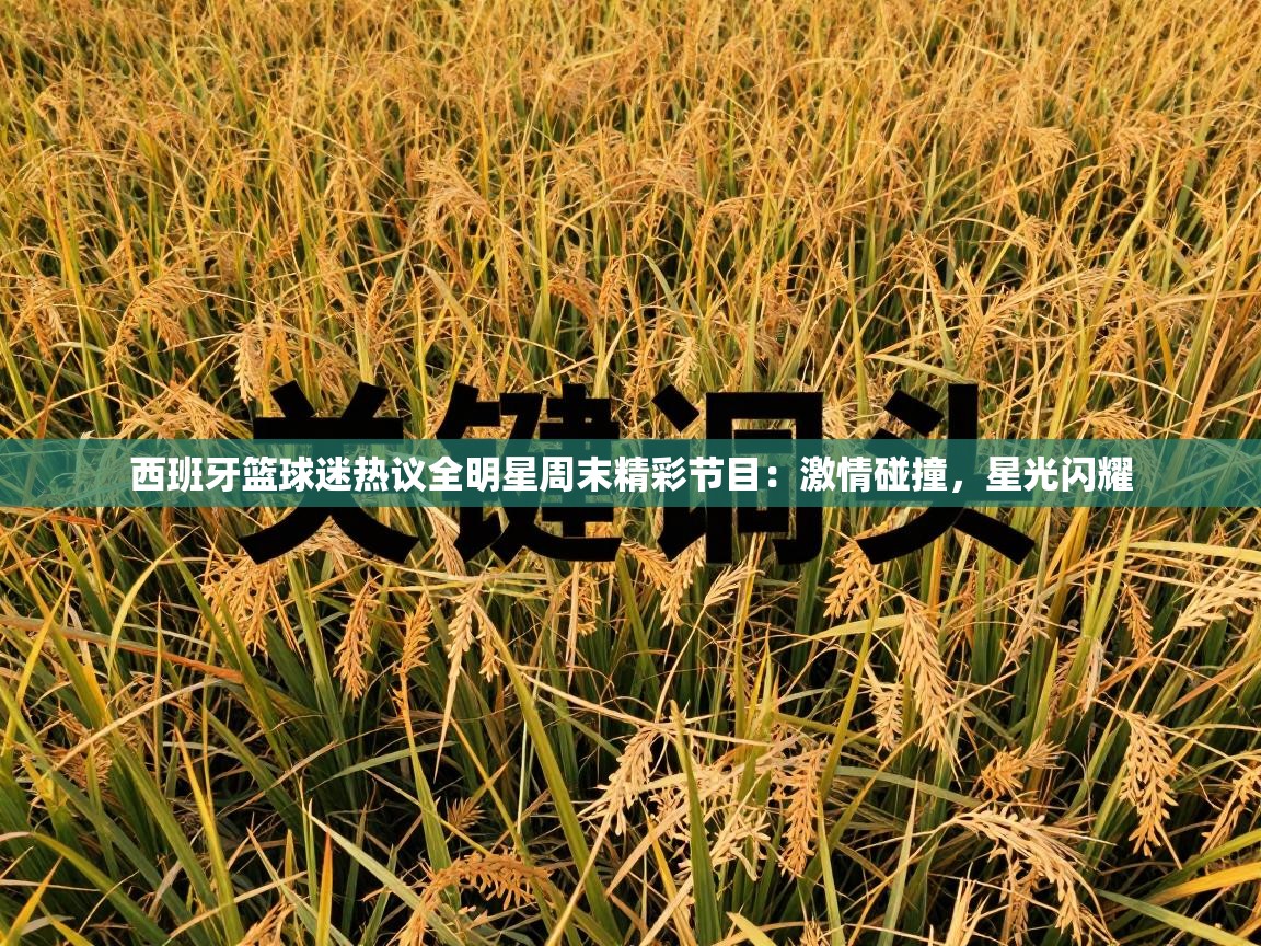 西班牙篮球迷热议全明星周末精彩节目：激情碰撞，星光闪耀  第1张