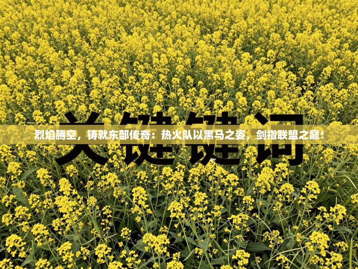 烈焰腾空，铸就东部传奇：热火队以黑马之姿，剑指联盟之巅！  第2张